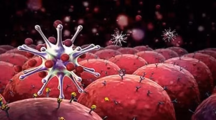 Chi tiet qua trinh thu nghiem thuoc chua 100% benh ung thu