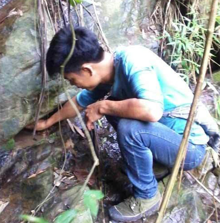 Săn ếch hương hiệu quả nhất là vào ban đêm. Ếch hương hiền, chúng thấy người không nhảy nên chỉ cần túm lấy nó và bỏ bao là xong.