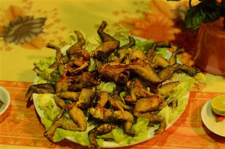 Mỗi kg ếch hương có giá lên tới 700.000 đồng.