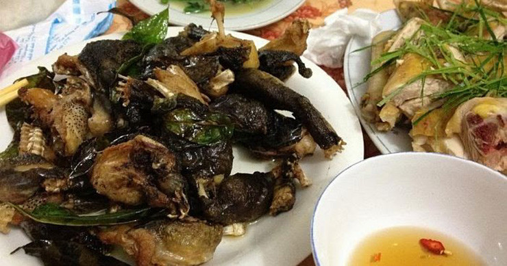 Con đực có gai ở cổ dưới. Nhiều người cho rằng, đấy là vương miện bị đeo lệch từ trên đầu xuống dưới của loài ếch này.