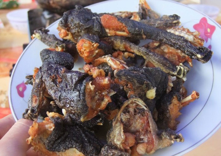 Để bảo tồn ếch hương, hiện Mẫu Sơn đã khoanh vùng bảo vệ và hạn chế săn bắt chúng vào mùa sinh sản.