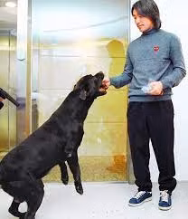 Cuoc song ben cac chu cun cua Chau Tinh Tri-Hinh-4