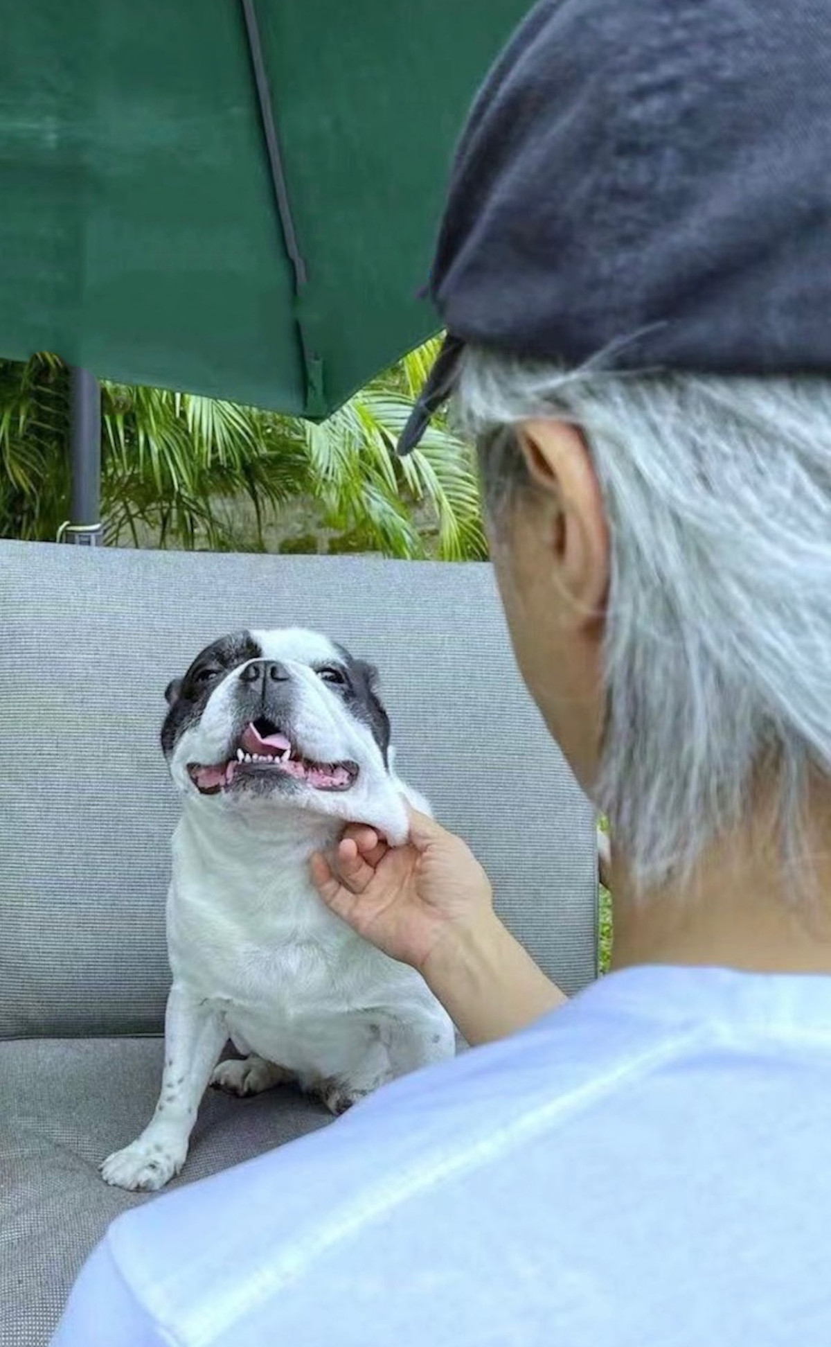 Cuoc song ben cac chu cun cua Chau Tinh Tri-Hinh-3