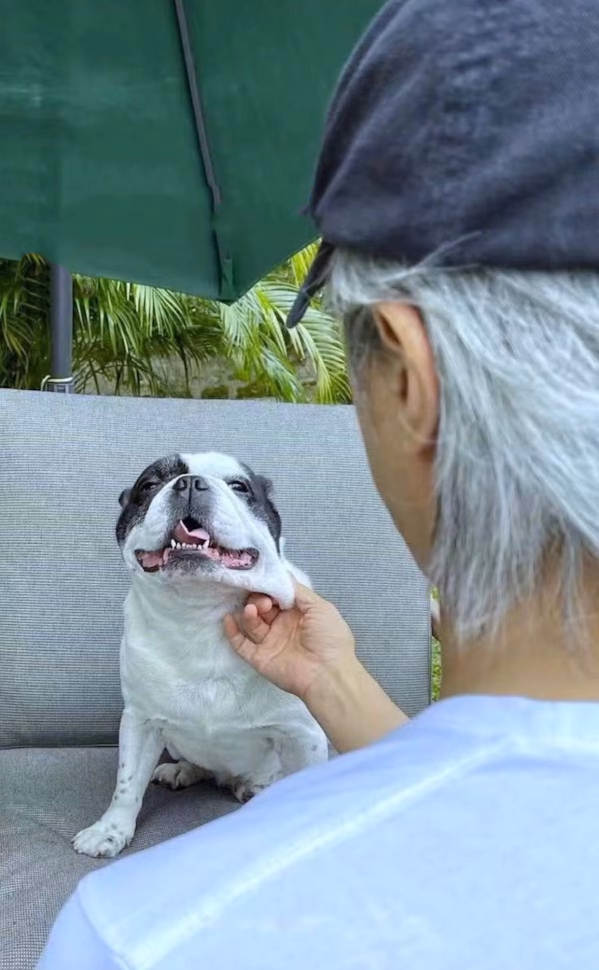 Cuoc song ben cac chu cun cua Chau Tinh Tri-Hinh-3