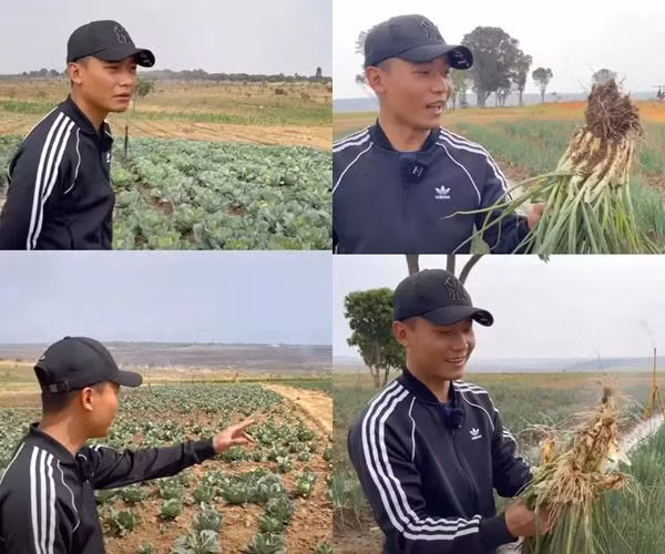 Quang Linh lấy tiền ở đâu làm từ thiện cho người dân châu Phi? - Hình 10 Quang Linh lay tien o dau lam tu thien cho nguoi dan chau Phi?-Hinh-10