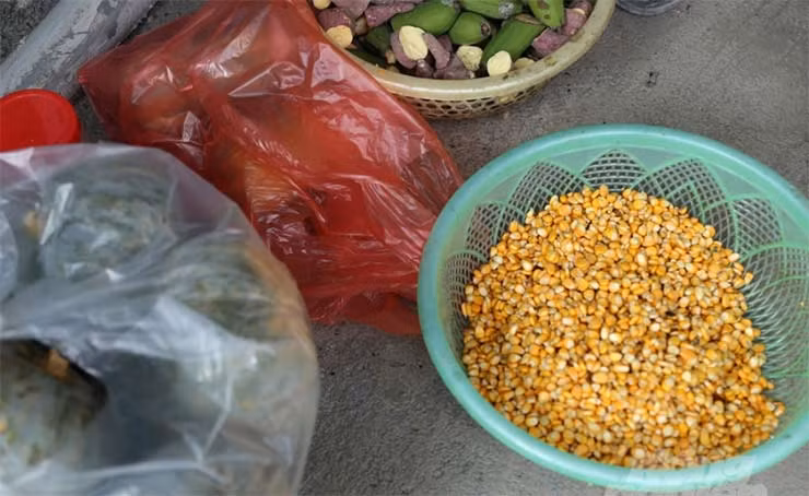 Thức ăn của don khá đơn giản và dễ kiếm được ngoài thiên nhiên, chủ yếu là các loại rau củ quả như: bí ngô, cà rốt, chuối, dưa hấu…