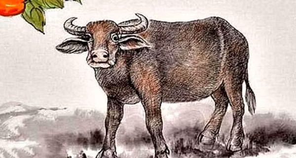 Phat Ba hien linh: 4 tuoi hoa nguy thanh an, tien tai sung tuc 2023-Hinh-2