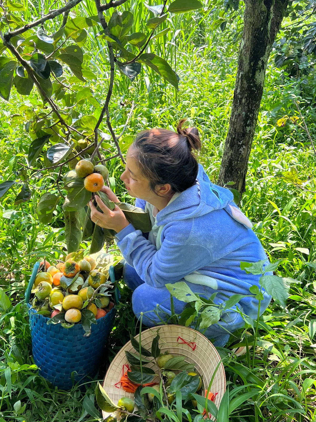 Nhà gỗ cheo leo trên lưng đồi, mỗi sáng đón mặt trời thật chill - Hình 13 Nha go cheo leo tren lung doi, moi sang don mat troi that chill-Hinh-13