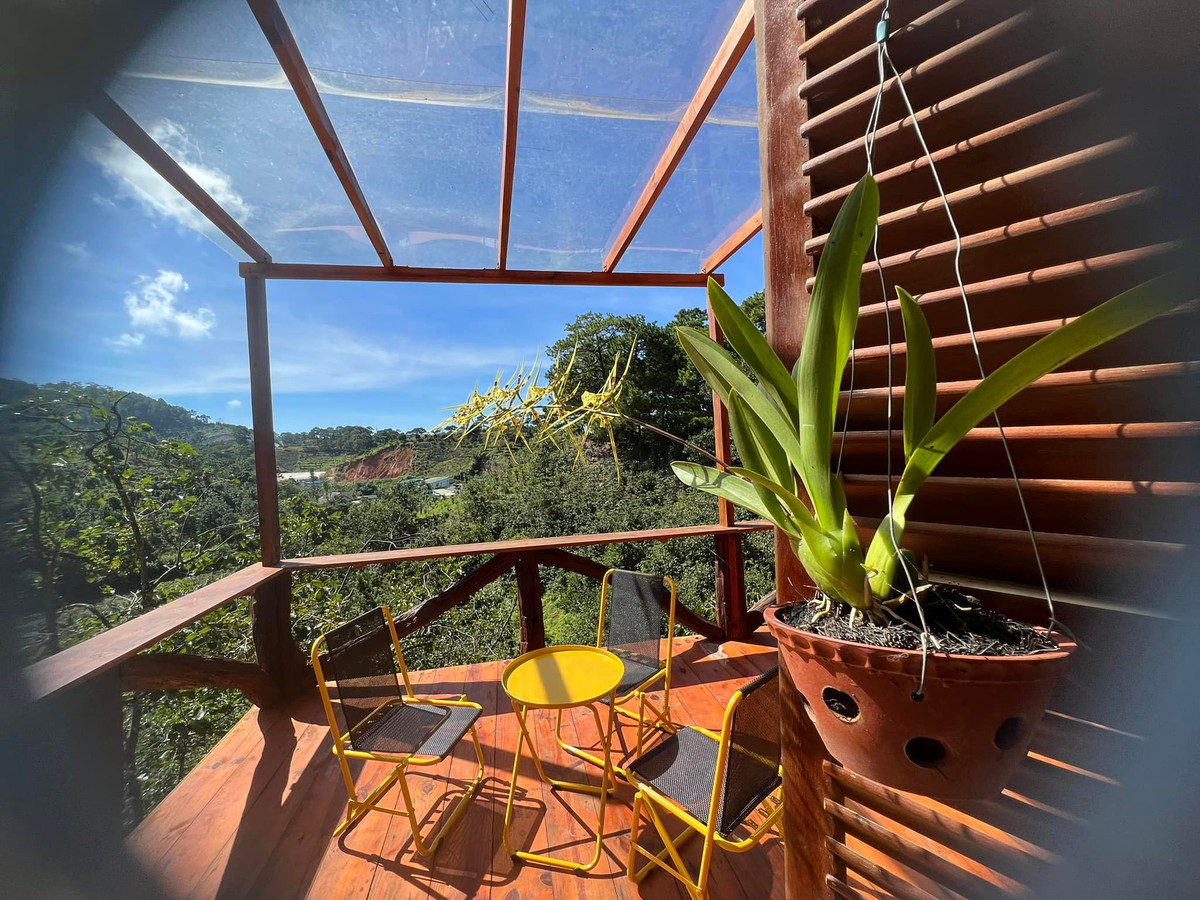 Nhà gỗ cheo leo trên lưng đồi, mỗi sáng đón mặt trời thật chill - Hình 9 Nha go cheo leo tren lung doi, moi sang don mat troi that chill-Hinh-9