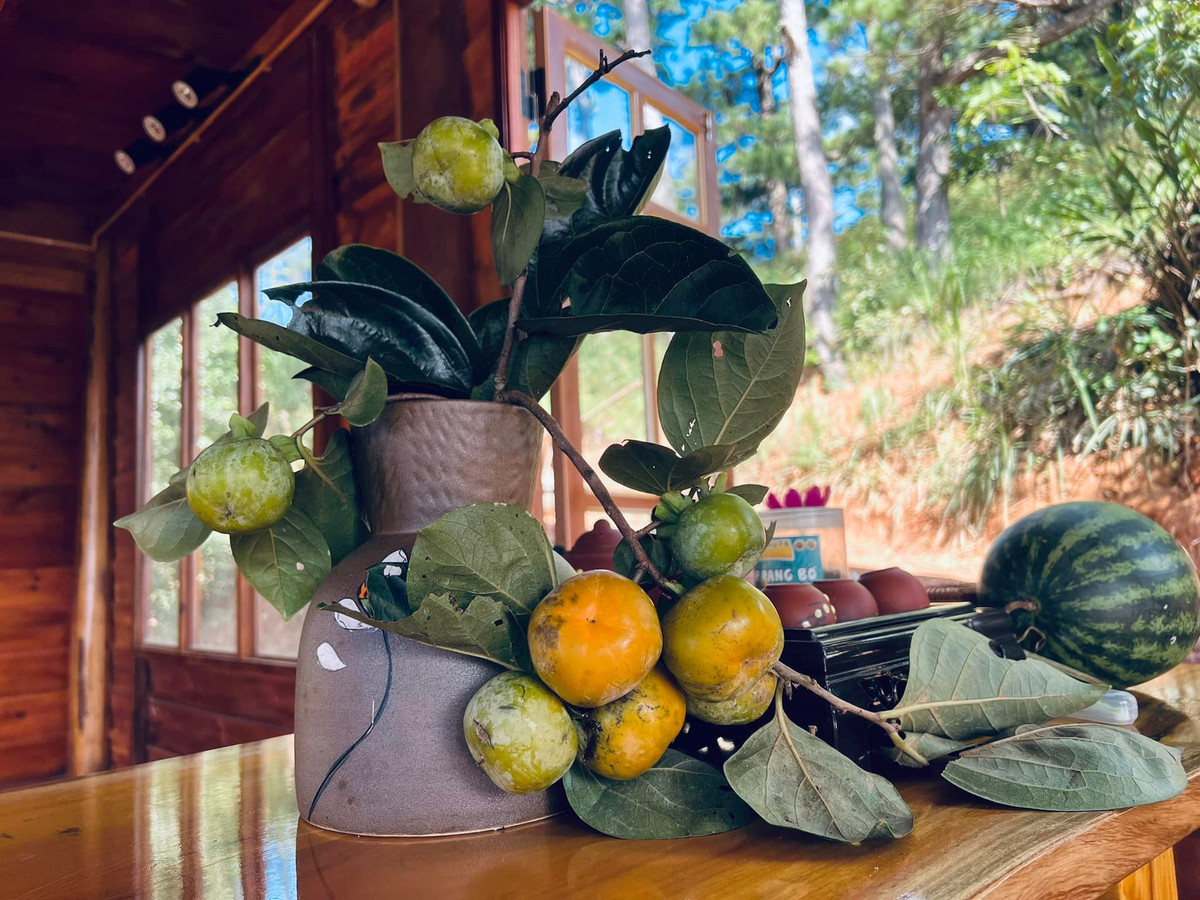 Nhà gỗ cheo leo trên lưng đồi, mỗi sáng đón mặt trời thật chill - Hình 7 Nha go cheo leo tren lung doi, moi sang don mat troi that chill-Hinh-7