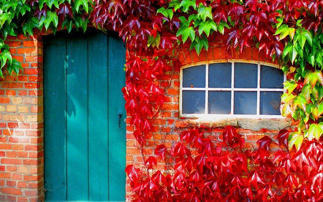 3 con giap co phuc loc, co hoi kiem tien mo ra truoc mat-Hinh-2