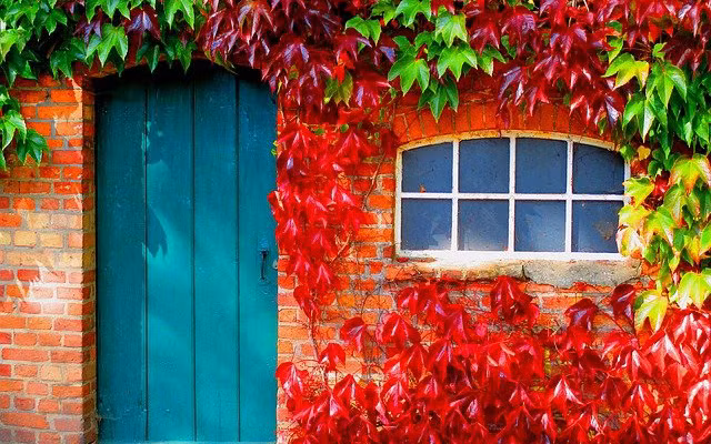 3 con giap duoc Than Tai ban phat cua cai, phat tai de dang-Hinh-3