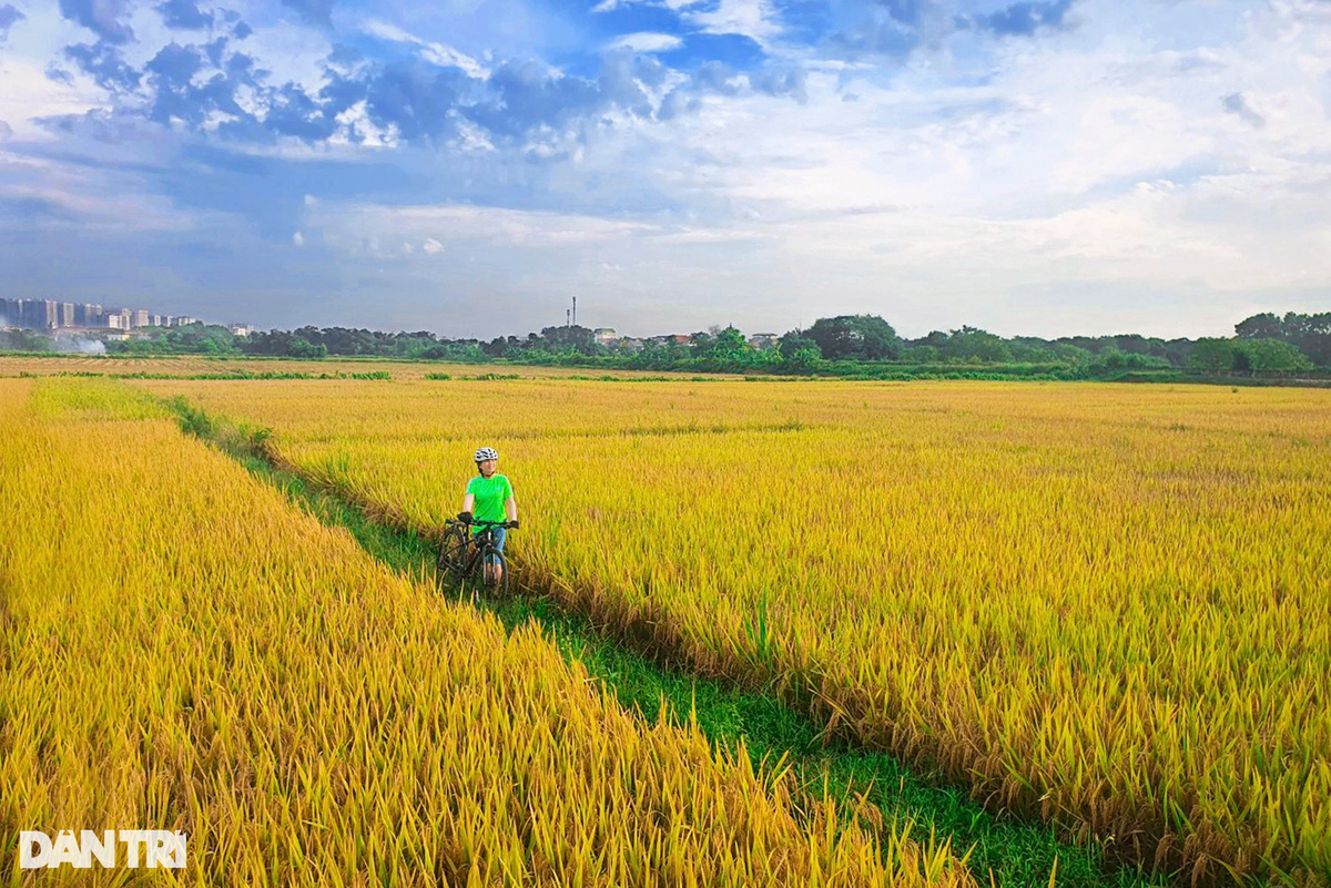 Tan huong ky nghi, nguoi dan thanh thoi dap xe dao khap Ha Noi-Hinh-19