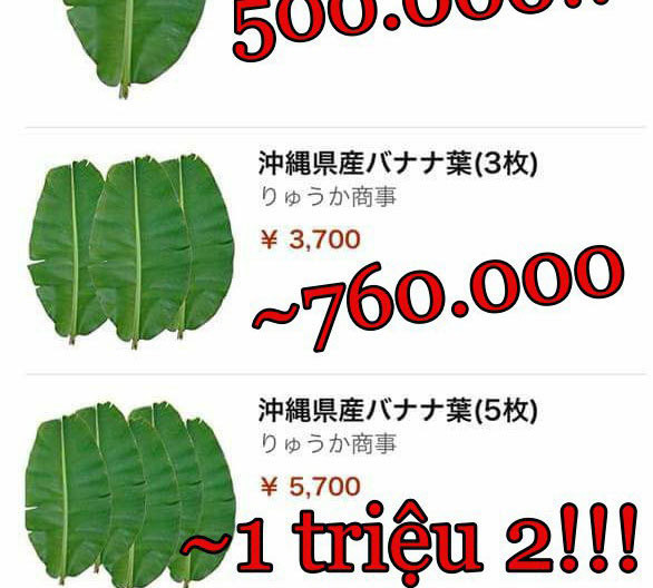 Bán lá sắn, khoai lang... thu về 6 triệu USD ảnh 1