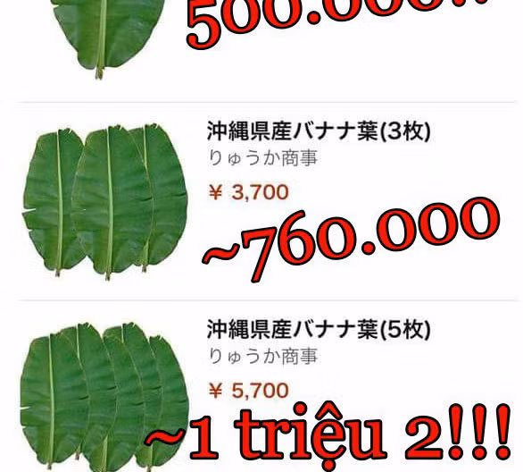 Bán lá sắn, khoai lang... thu về 6 triệu USD ảnh 1