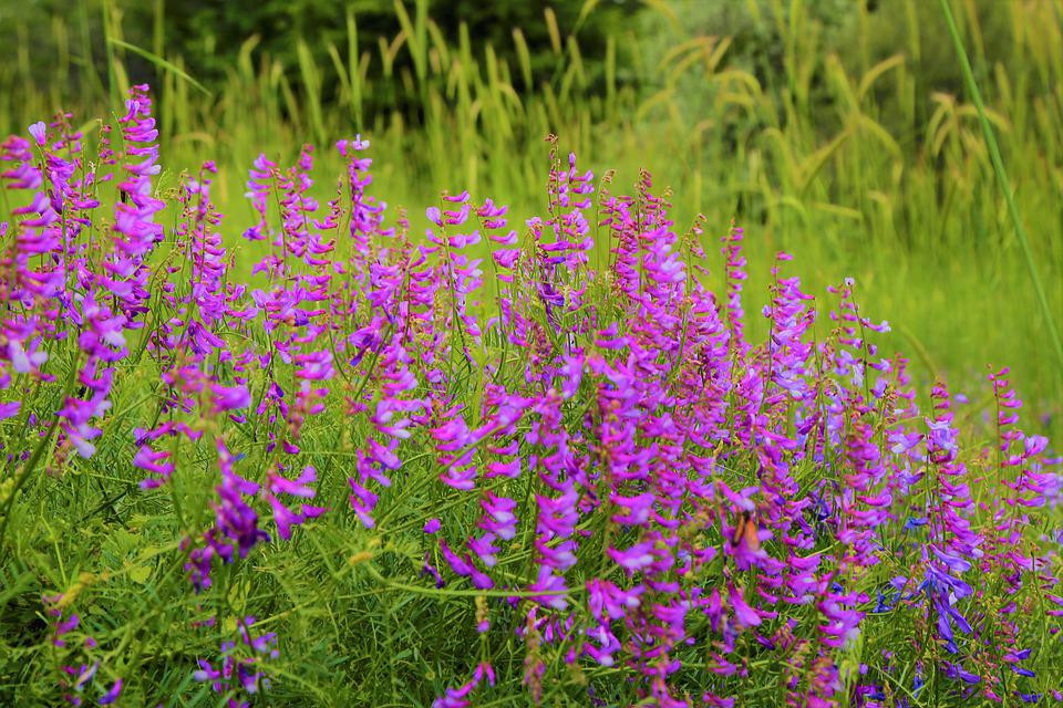 Ai sinh ngày Âm lịch này hưởng mọi đặc ân của vũ trụ, giàu suốt kiếp Ai sinh ngay Am lich nay huong moi dac an cua vu tru, giau suot kiep