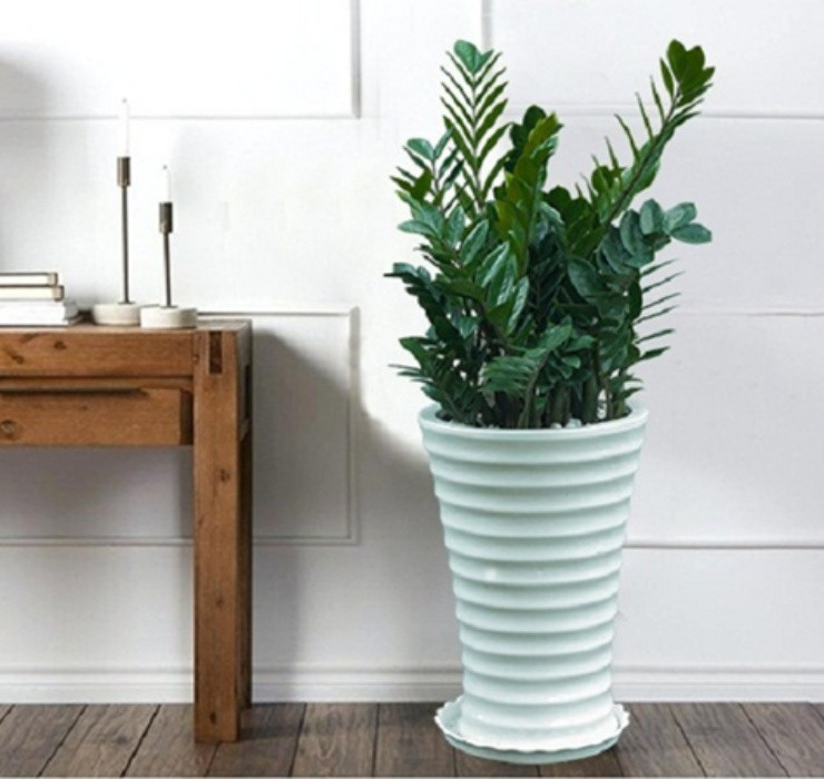 3 loai cay nghe ten la thay 