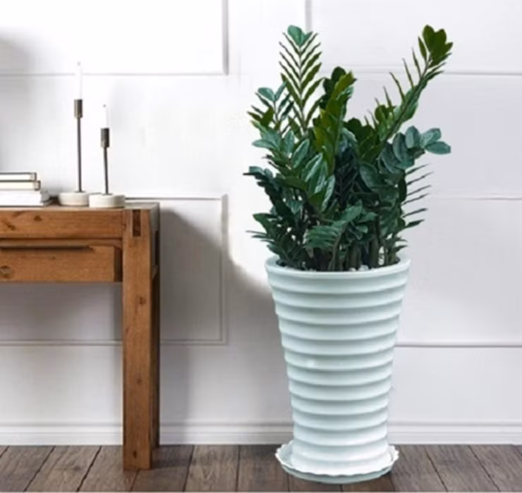 3 loai cay nghe ten la thay 