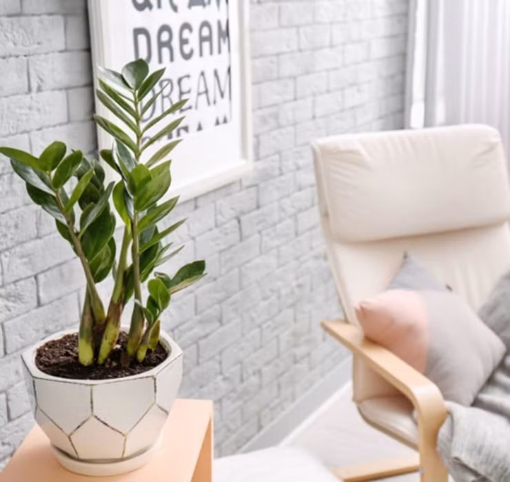 3 loai cay nghe ten la thay 