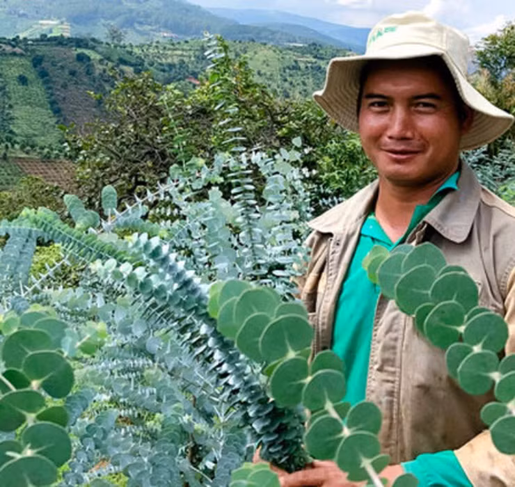 3 loai cay nghe ten la thay 
