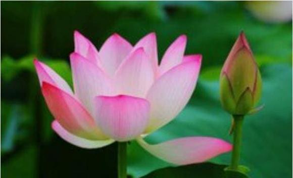 Nguoi co ngay sinh ket thuc bang 4 so nay so menh giau sang-Hinh-3