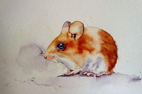  Tuổi Tý. Tý vốn tính cách thẳng thắn, trung thực, luôn biết nỗ lực và cố gắng hết mình để tìm kiếm cơ hội đổi đời. So với những con giáp khác, Tý tuy không có điểm xuất phát tốt nhưng bù lại con giáp có sự kiên định và ý chí vượt khó vô cùng mạnh mẽ. Đến giai đoạn nhất định, khi đã đi qua mọi cơ cực, Tý sẽ có cuộc sống viên mãn.