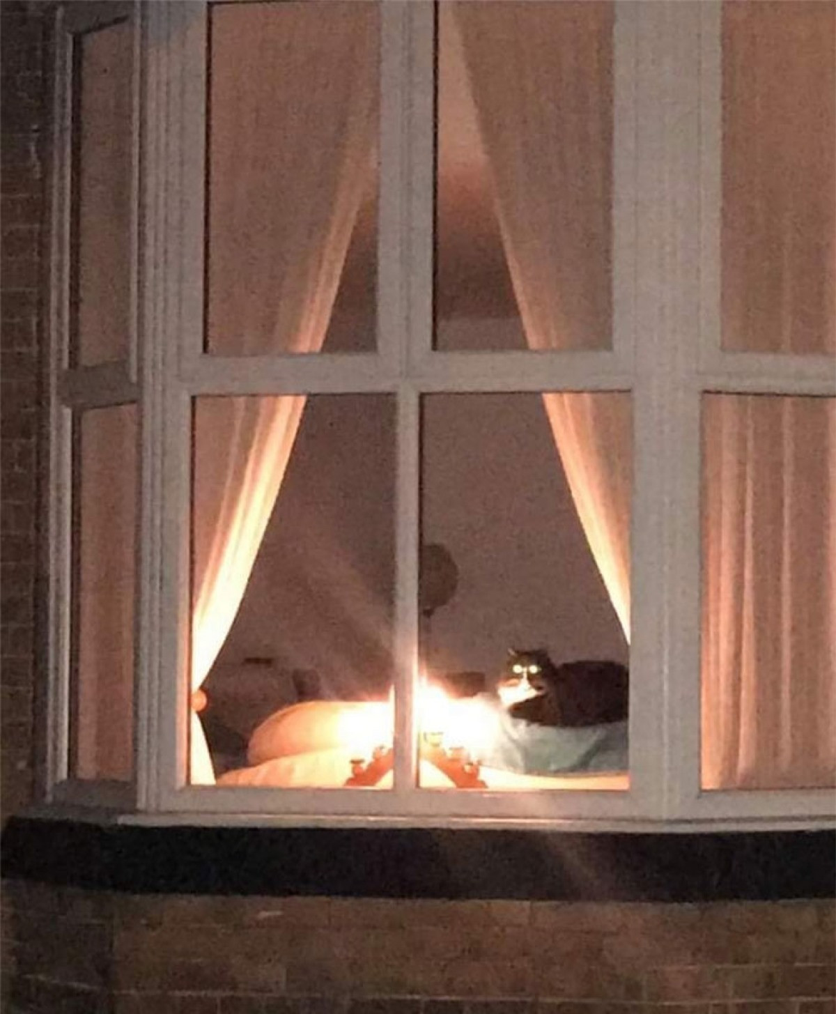 Nhìn thấy hình ảnh này chắc con sen mất ngủ cả đêm.