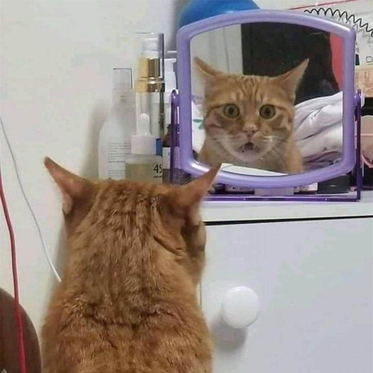 Hốt hoảng khi lần đầu nhìn thấy mình trong gương.