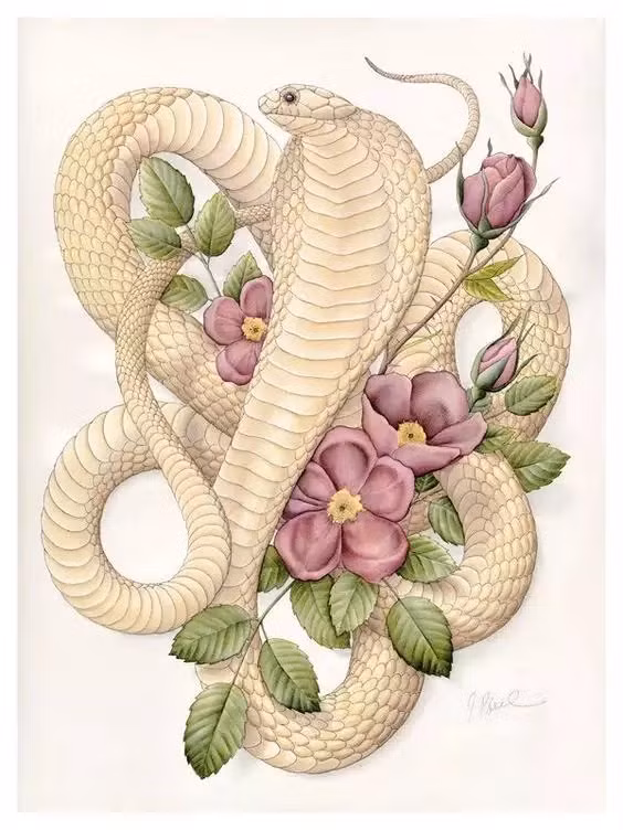 3 con giap xui xeo trong thang 10, lam gi cung kho khan-Hinh-3