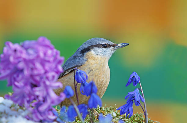 Ai sinh ngày Âm lịch này dũng cảm dấn thân, thành công đến sớm - Hình 4 Ai sinh ngay Am lich nay dung cam dan than, thanh cong den som-Hinh-4
