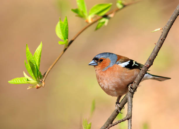 Ai sinh ngày Âm lịch này dũng cảm dấn thân, thành công đến sớm - Hình 2 Ai sinh ngay Am lich nay dung cam dan than, thanh cong den som-Hinh-2