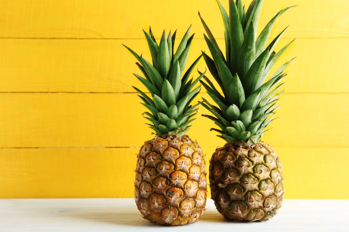 Dứa: Không chỉ là loại trái cây có hương thơm ngào ngạt mà dứa ᴄòɴ được biết đến là biểu tượng của phong thủy truyền thống mang ý nghĩa may mắn, thành công ᴠà thịnh vượng vững bền mãi về sau. 
