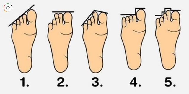 Đặc biệt những người sở hữu tướng bàn chân này thì thường sống thọ. Bạn được biết đến với tính cách khiêm nhường, chân thành trong cách ứng xử với mọi người nên được trời ban phúc đức. Cuộc sống của bạn về sau khá nhàn hạ, không phải lo toan đến chuyện cơm áo, gạo tiền. 