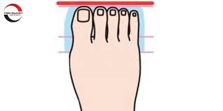  Ngón chân cái và ngón thứ hai dài bằng nhau. Trong nhân tướng học, bàn chân của một người có hai ngón chân đầu tiên bằng nhau thì được gọi là bàn chân La Mã. Người có tướng bàn chân này thường được trời ban phúc khí, số phận thịnh vượng điển hình.