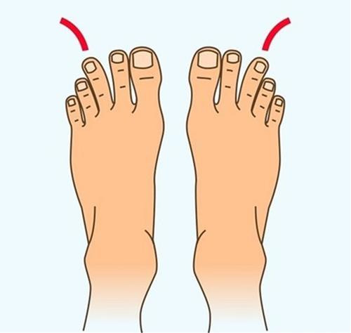 Phần lớn họ đều là người có năng lực vượt trội. Càng lớn tuổi, tài lộc của họ càng dồi dào, khả năng kiếm tiền của họ càng tăng lên. Dựa vào khả năng quản lý tài chính, bạn tích lũy được khối lượng tài sản lớn. Người mang tướng chân này, gặp nhiều may mắn, sau này sẽ trao truyền phúc đức cho con, cháu của mình.