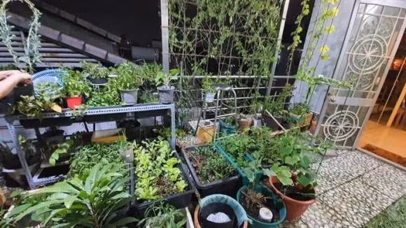 Cuoc song hien tai cua Cam Ly sau khi bi benh suyt bo hat-Hinh-10