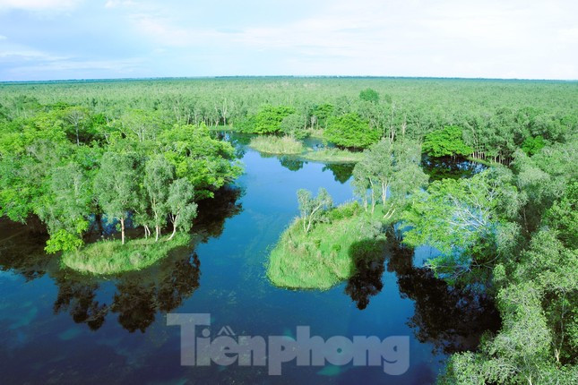 Ve dep U Minh Thuong - vuon di san rung tren dat than bun