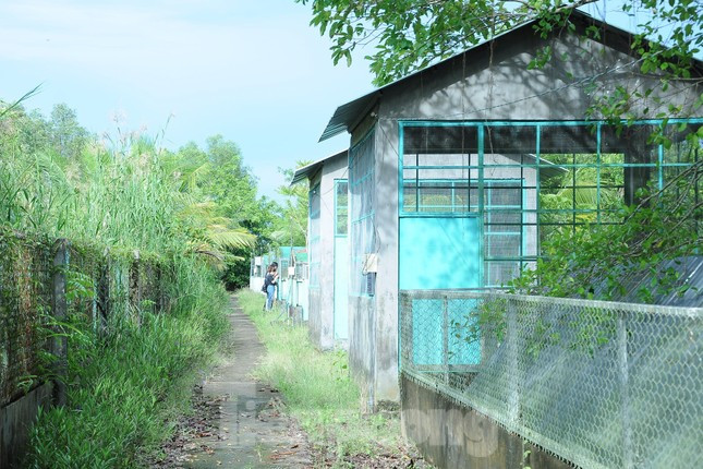 Ve dep U Minh Thuong - vuon di san rung tren dat than bun-Hinh-5