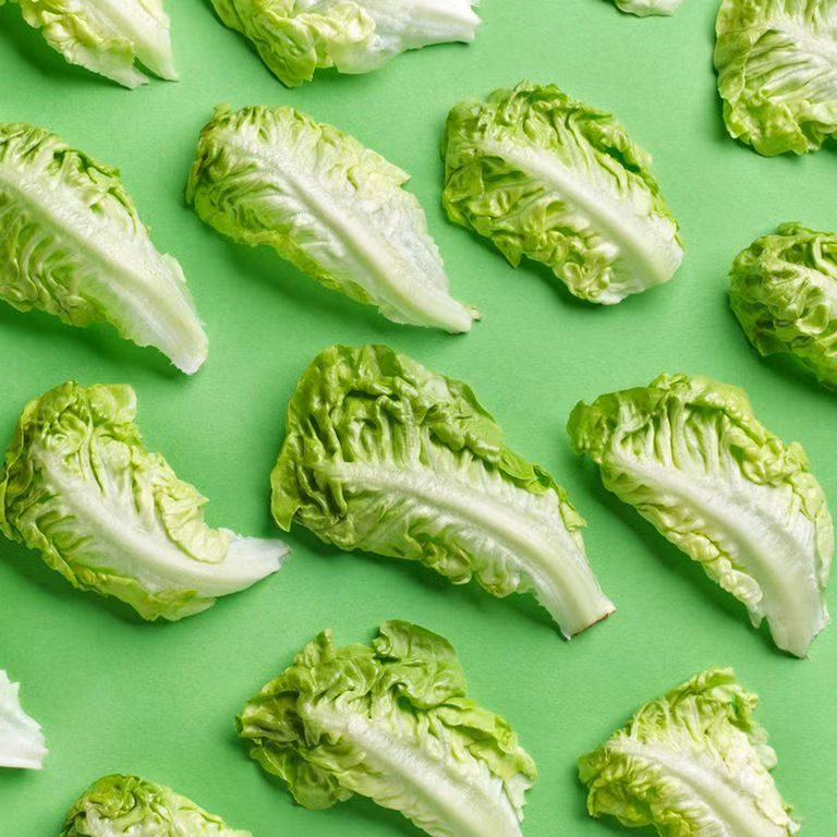 10 meo giu cho trai cay va rau cu luc nao tuoi roi roi-Hinh-2