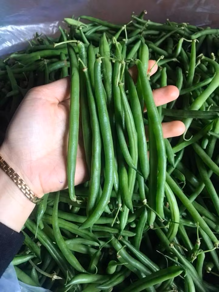 4 loai rau cuc bo khi duoc nau chin nhung khong phai ai cung biet-Hinh-3