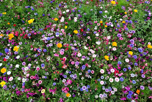 Thang Am lich may man nhat nam Nham Dan cua con giap tuoi Tuat-Hinh-2