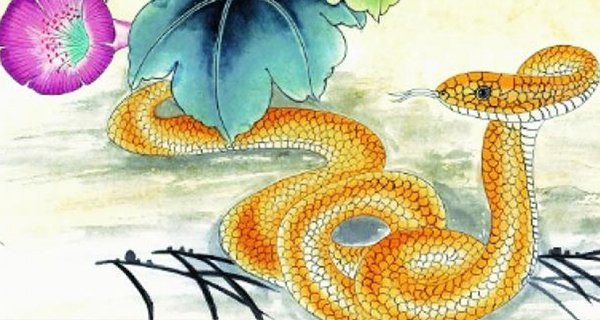 Tuổi Tỵ. Những người tuổi Tỵ khá thông minh, có trí tuệ xúc cảm cao. Họ là những người có thể giải quyết những vấn đề khó khăn của gia đình trong bất cứ hoàn cảnh nào. Cũng có thể coi những người này chính là thần hộ mệnh của gia đình.