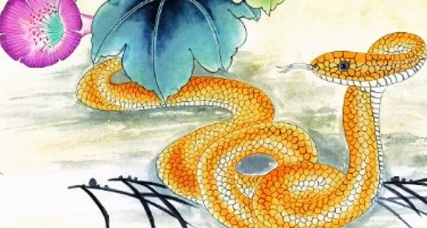 Tuổi Tỵ. Những người tuổi Tỵ khá thông minh, có trí tuệ xúc cảm cao. Họ là những người có thể giải quyết những vấn đề khó khăn của gia đình trong bất cứ hoàn cảnh nào. Cũng có thể coi những người này chính là thần hộ mệnh của gia đình.