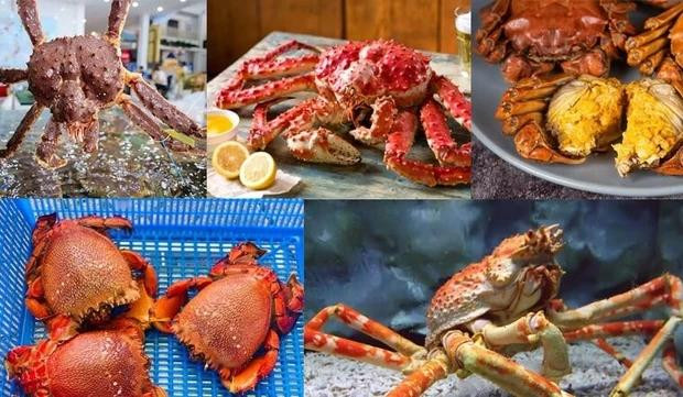 Mẹo bảo quản cua tươi ngon, giữ nguyên hương vị ban đầu Meo bao quan cua tuoi ngon, giu nguyen huong vi ban dau