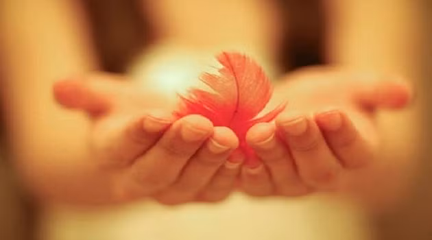 3 kieu nguoi tuong khi chat bat pham nhung that ra vo phuc-Hinh-3