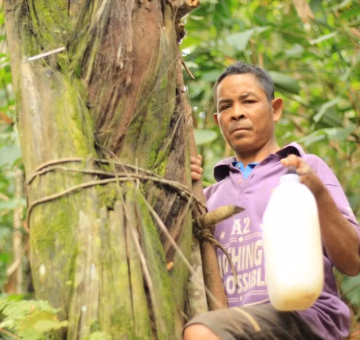 Đối với cư dân xã Đắk Plinh nơi đây, rượu từ cây Đóak được xem như là một món thức uống hảo hạng khó gì có thể sánh bằng.