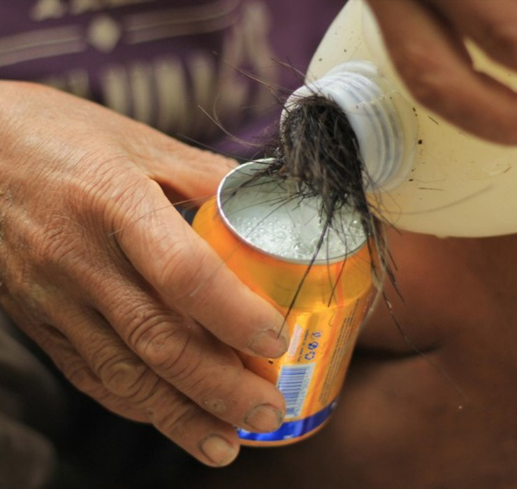 Khi được thu hoạch đúng cách thì loại cây này sẽ cho ra thứ rượu màu trắng, có chút vị cay cay tê tê, mùi thơm nồng và hoàn toàn không gây ra tình trạng say xỉn cho người uống.