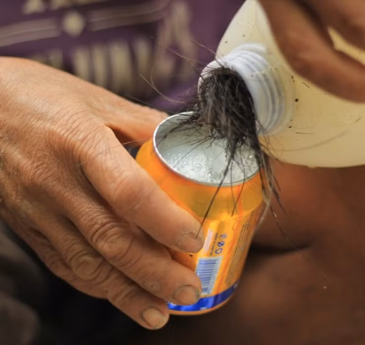 Khi được thu hoạch đúng cách thì loại cây này sẽ cho ra thứ rượu màu trắng, có chút vị cay cay tê tê, mùi thơm nồng và hoàn toàn không gây ra tình trạng say xỉn cho người uống.