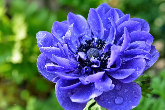 Người sinh vào ngày 2 và 12 Âm lịch. Theo bói ngày tháng sinh Âm lịch, người sinh vào hai ngày 2 và 12 Âm lịch này rất dễ hòa đồng, tính cách luôn vui vẻ, không bao giờ nóng nảy dù có đối mặt với khó khăn hay bị đối xử không tốt.