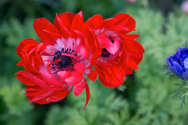 Người sinh ngày Âm lịch này có thể tiến bộ vững chắc, Thần Tài trợ giúp, gặt hái thành công nhanh chóng, tiền tài không thiếu. Gia đình của họ cũng làm ăn thuận lợi, hạnh phúc viên mãn.